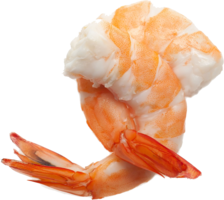 animals & shrimps free transparent png image.