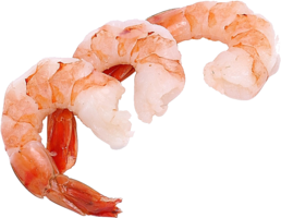 animals & Shrimps free transparent png image.