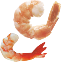 animals & Shrimps free transparent png image.