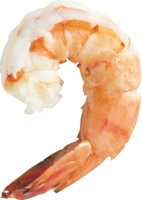 animals & shrimps free transparent png image.