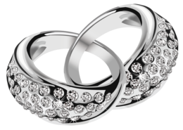 jewelry & silver free transparent png image.