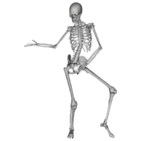 people&Skeleton png image.