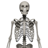 people & Skeleton free transparent png image.