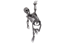 people & Skeleton free transparent png image.