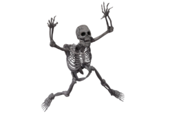 people & skeleton free transparent png image.