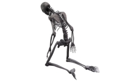 people & Skeleton free transparent png image.