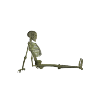 people & skeleton free transparent png image.