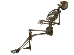 people & Skeleton free transparent png image.