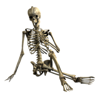 people & skeleton free transparent png image.