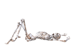 people & skeleton free transparent png image.