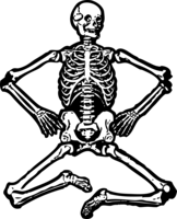 people & skeleton free transparent png image.