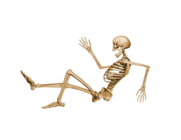 people & skeleton free transparent png image.