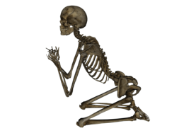 people & skeleton free transparent png image.