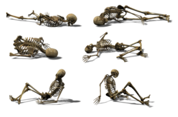 people & skeleton free transparent png image.