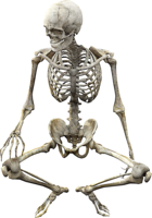 people & skeleton free transparent png image.