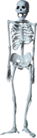 people & Skeleton free transparent png image.