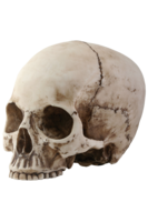 people & skeleton free transparent png image.