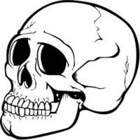 people & Skeleton free transparent png image.