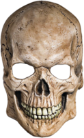 people & skeleton free transparent png image.