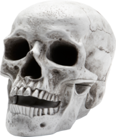 people & skeleton free transparent png image.