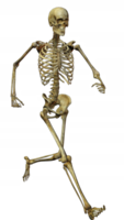 people & Skeleton free transparent png image.