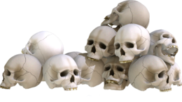 people & Skull free transparent png image.