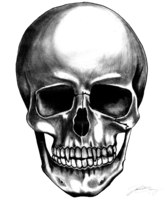 people & skull free transparent png image.