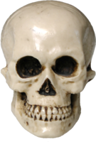 people & Skull free transparent png image.