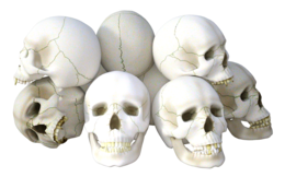 people & skull free transparent png image.