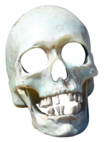 people & skull free transparent png image.