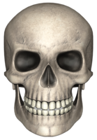 people & Skull free transparent png image.