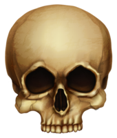 people & skull free transparent png image.