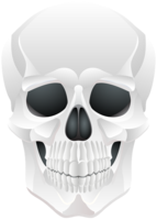 people & skull free transparent png image.