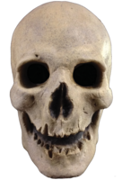 people & skull free transparent png image.