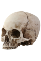 people & skull free transparent png image.