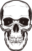 people & skull free transparent png image.