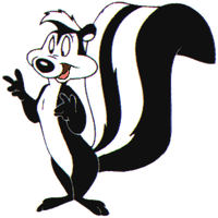 animals & skunk free transparent png image.