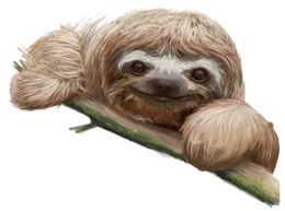 animals & sloth free transparent png image.