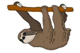 animals & sloth free transparent png image.