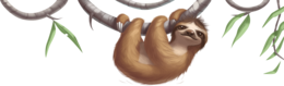 animals & sloth free transparent png image.