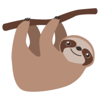 animals & Sloth free transparent png image.