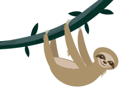 animals & Sloth free transparent png image.