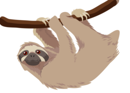 animals & Sloth free transparent png image.