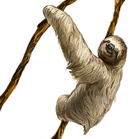 animals & sloth free transparent png image.