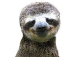 animals & sloth free transparent png image.