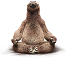 animals & Sloth free transparent png image.