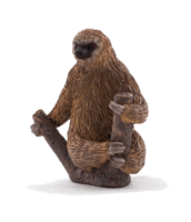 animals & sloth free transparent png image.