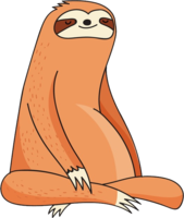 animals & sloth free transparent png image.