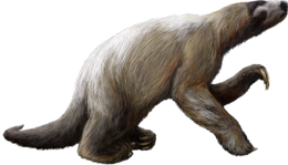 animals & sloth free transparent png image.