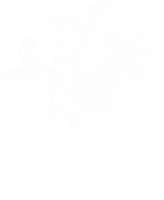 nature & smoke free transparent png image.